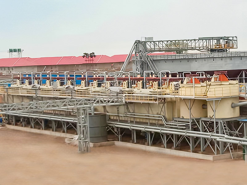 3000t Zimbabwe Lepidolite / D Mineralis Processing Project - Zhejiang Dingsen tenens Co., Ltd.